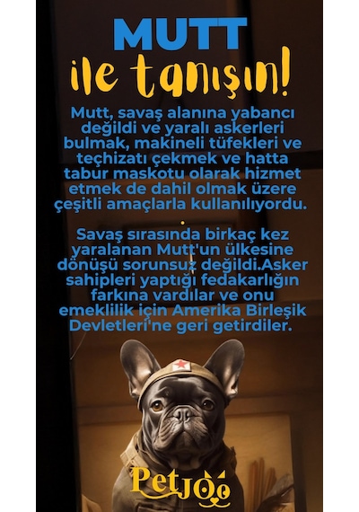 Petjoo 10.Mutt Sarı-Mavi Qr'lı Köpek Künyesi