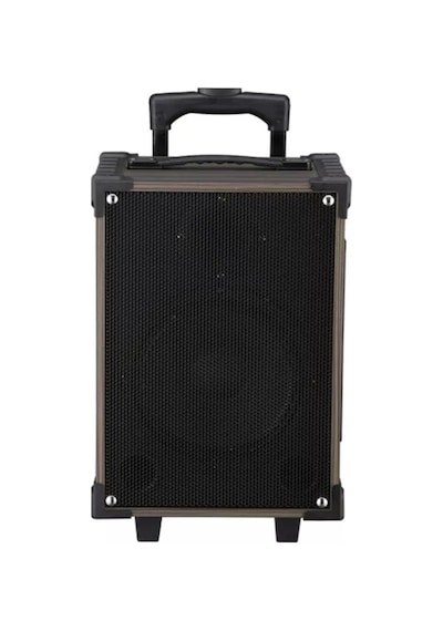12 Inç Bluetooth Hoparlör 2 Adet Kablosuz Mikrofonlu Karaoke Bass Kabin Anfi Gitar Girişli