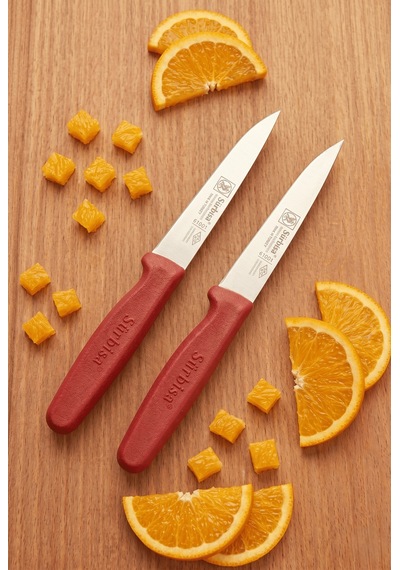 Sebze Meyve Mutfak Bıçak Seti 2'li Kırmızı Sürmene Meyve Bıçağı Sürbisa Fırtına Günlük Set 61004