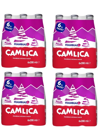 Çamlıca Frambuaz Aromalı Gazoz 200 Ml X 24 Adet