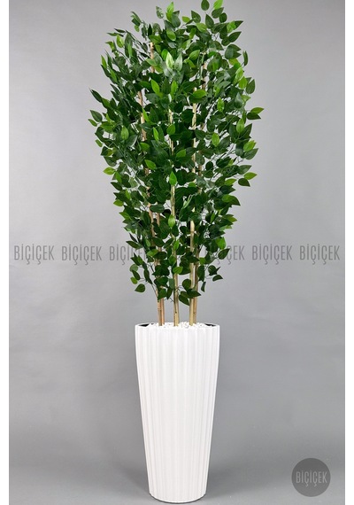 Yapay Benjamin Ağacı 6 Dallı Yoğun Yapraklı 220 Cm Beyaz Lilyum Saksıda
