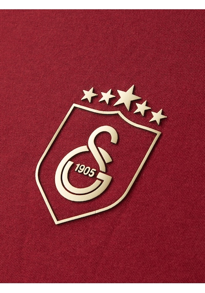 Gsstore Galatasaray 5 Yıldız T-shirt E251393 Bordo