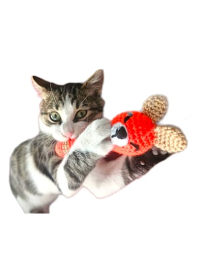 Everypet Catnipli Amigurumi Sesli Kedi Köpek Diş Kaşıma & Isırma