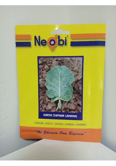 Neobi Kara Yaprak Lahana Tohumu 10 Gr 1 Adet
