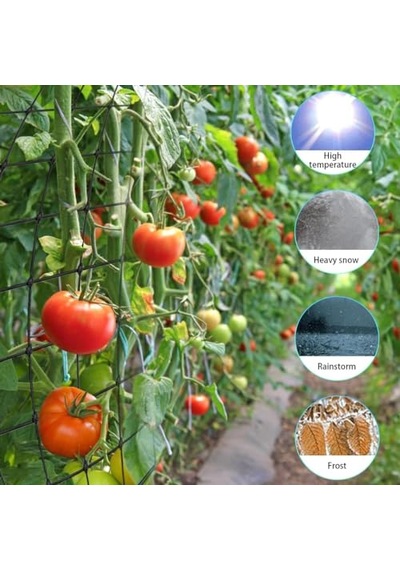 Coffee Life Plus Scrog File, Bitki Yetiştirme Ağı, 150 X 150 Cm Elastik Kafes Ağı, 6 Kancalı, Elastik Ağ Kafesi