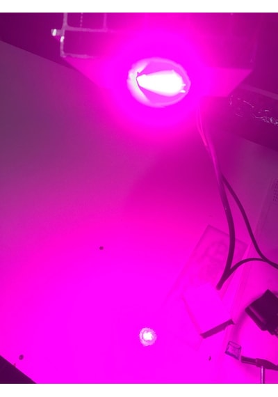 50 WATT Bitki yetiştirme lambası