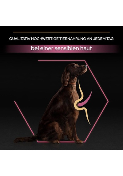 Large Athletic Adult Somonlu Köpek Maması 14 Kg