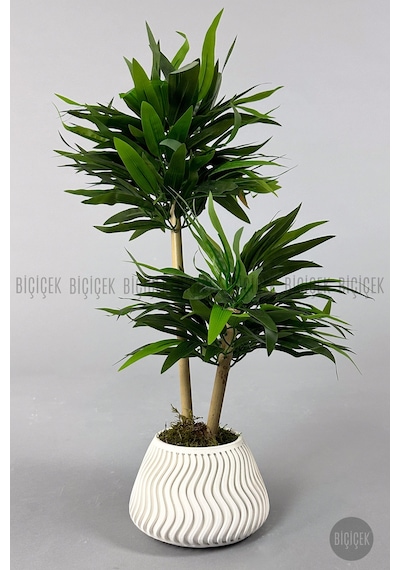 Yapay Bambu Ağacı 60cm Yoğun Yapraklı Spiral Saksıda Beyaz