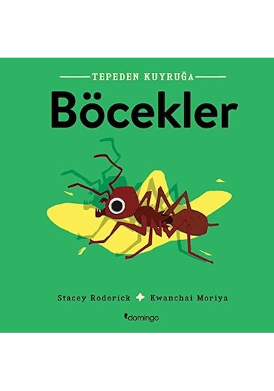 Tepeden Kuyruğa - Böcekler