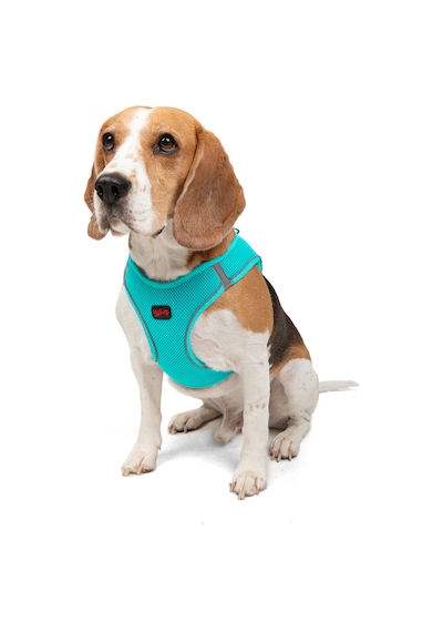 Air-Mesh Küçük ve Orta Irk Kedi Köpek Göğüs Tasması - Yumuşak, Nefes Alabilir, Dayanıklı TURKUAZ M Air-Mesh Küçük ve Orta Irk Kedi Köpek Göğüs Tasması - Yumuşak, Nefes Alabilir, Dayanıklı TURKUAZ M