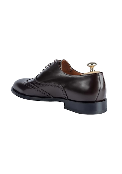Twingold Oxford Açma Deri Ayakkabı - Twgb002 Kahverengi