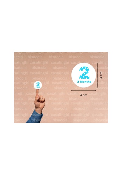 İngilizce 2 Aylık Etiketi Mavi 2 Months Çıkartması Puanlı İki Aylık Bebek Sticker 4 Cm 45 Adet Çok Renkli