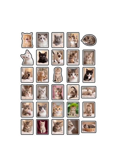 30 Adet Estetik Yavru Kedi Sticker Seti - Laptop Defter Telefon Ajanda Çok Renkli