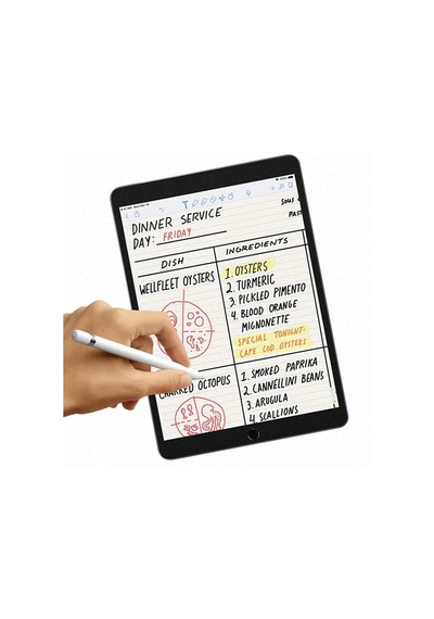 Ally İpad Pro/air 310.5 İnch Paper Like Film Darbe Emici Pet Ekran Koruyucu- 5775