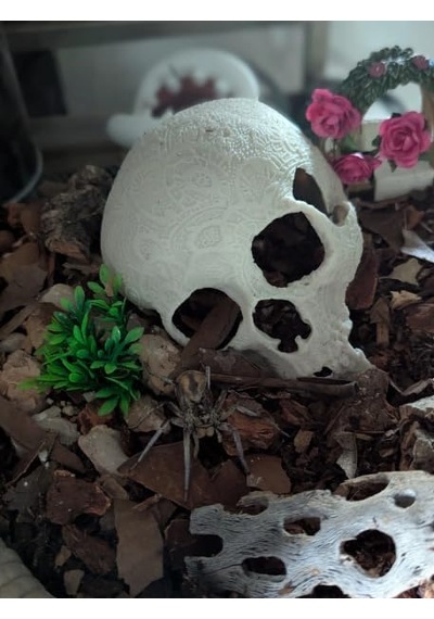 Akvaryum Süsü Kırık Kafatası Dekorasyon - Balık Saklanma Alanı Ve Akvaryum Dekoru Skull Decor Broken Skull For Aquarium Decoration