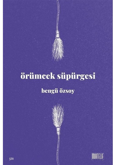 Örümcek Süpürgesi / Bengü Özsoy