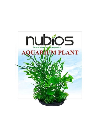 Nubios Plastik Bitki Kare Tabanlı Tekli Karton 17,5 Cm 219-59016.01