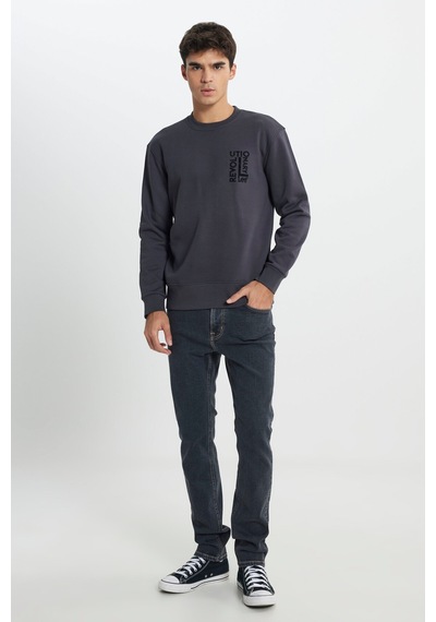 Regular Fit Normal Kesim Bisiklet Yaka İçi Polarlı Antrasit Sweatshirt Faded Black-l24216633w Regular Fit Normal Kesim Bisiklet Yaka İçi Polarlı Antrasit Sweatshirt Faded Black-l24216633w
