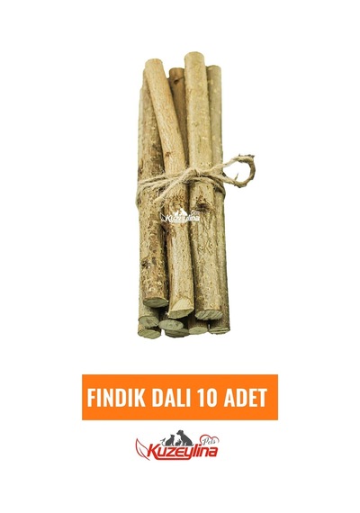 Kemirgenler İçin Fındık Dalı - 10 Adet