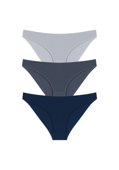 10010 Slip 3'lü Bikini Külot Paketi 10010-v3-Lacivert-K.Füme-A. Füme Lacivert - Koyu Füme - Açık Füme