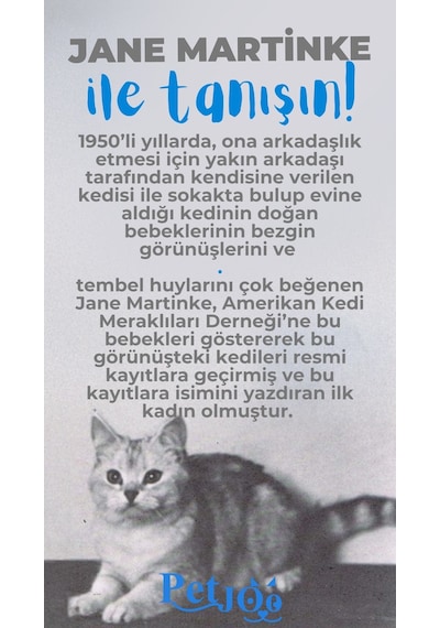 Petjoo 5.Jane Martinke Mavi-Gri Qr'lı Kedi Künyesi