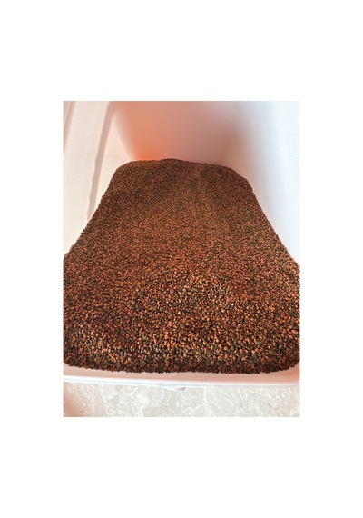 Cichlid Gran 500gr