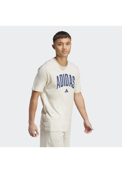 Adidas Collegiate Lineage Graphic Erkek Krem Tişört Jm6415 Krem