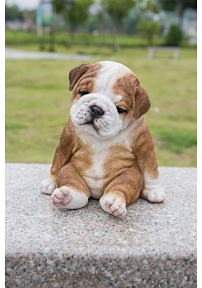 Oturan Uykulu Bulldog Yavru Köpek