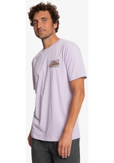 Quiksilver Eqyzt07231-pfm0 Retrofade M Tees Erkek T-shirt 001
