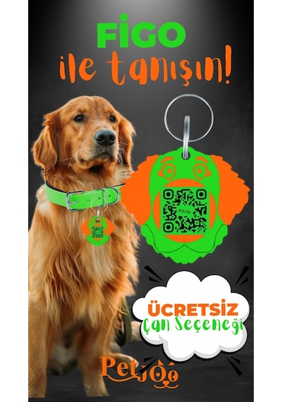 Petjoo 27.Figo Turuncu-Yeşil Qr'lı Köpek Künyesi