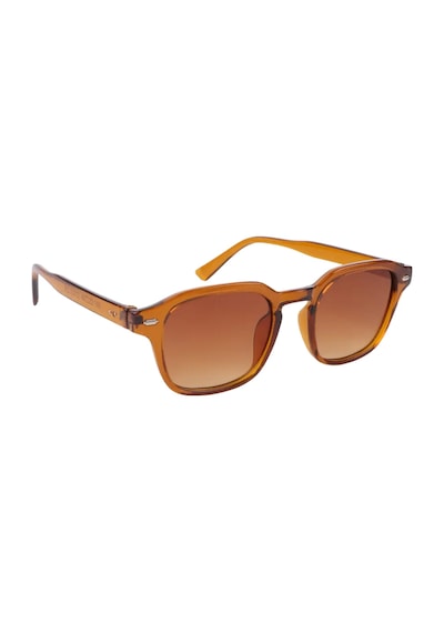 Carmelo Eyewear C02gk045 Kahverengi Kadın Güneş Gözlüğü