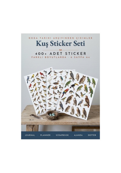 Kuş Sticker Seti 400+ Adet 9 Farklı Boy Vintage Doğa Tarihi Çizim Ajanda Planner Journal A4 Çok Renkli