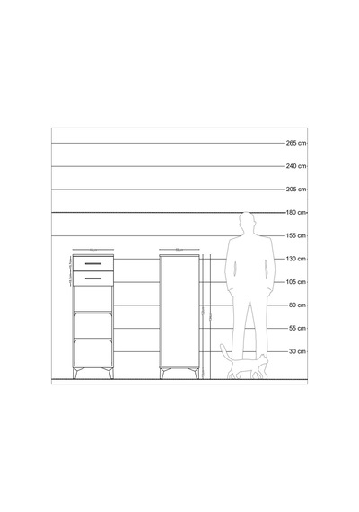 Kronos Dolap 2 Raflı 2 Çekmeceli 44x59x134 Çam-antrasit Atlas Çam