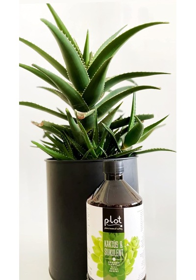Tr Plot Kaktüs Sukulent Organik İçerikli Bitki Besini 500 Ml Diğer