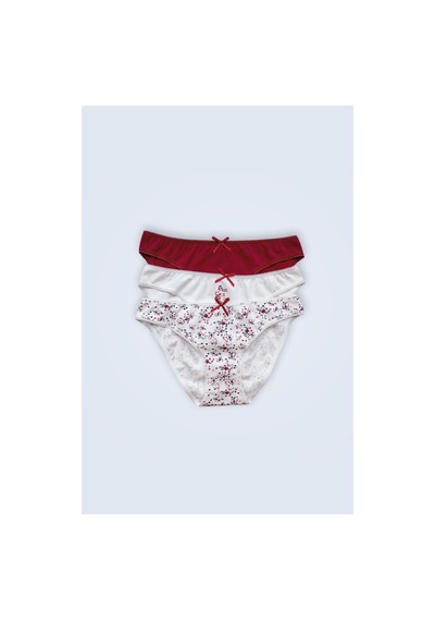 Pierre Cardin 3'lü Ekonomik Paket Cute Flower 2700 Pamuklu Basic Brief Külot Bordo - Beyaz - Bordo Pierre Cardin 3'lü Ekonomik Paket Cute Flower 2700 Pamuklu Basic Brief Külot Bordo - Beyaz - Bordo