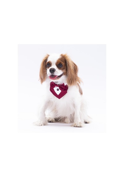 Bordo Smokin Kedi Köpek Fuları Pet Bandanası