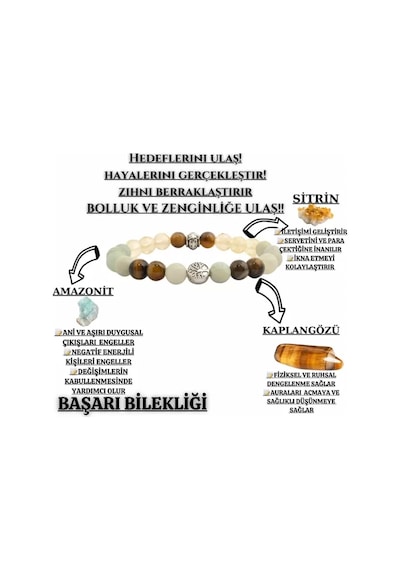 Endoles Doğaltaş Başari Hedeflerine Ulaşma Tılsım Bilekliği A 19 Çok Renkli