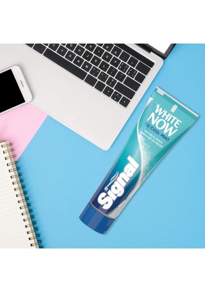 Signal White Now Ice Cool Mint Diş Macunu 75 ML