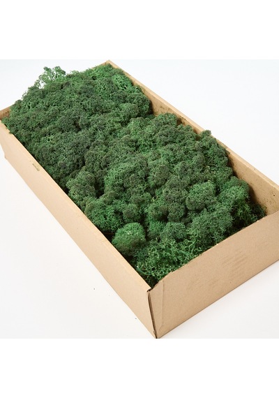 Trend Bahçe Reindeer Moss Dark Green Şoklanmış Norveç Yosunu 500 G