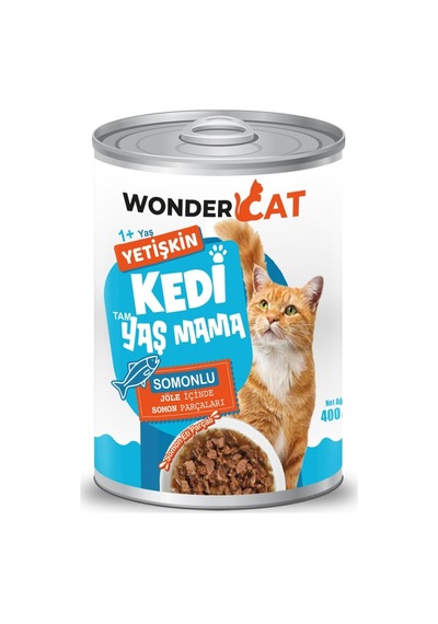 Somonlu Yetişkin Kedi Konservesi 400gr X 12 Adet