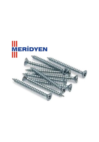 Sunta Vidası 5 X 50 Mm 100 Adet Vida Tr 1