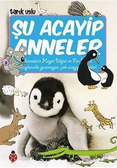 Şu Acayip Anneler - Yqbx-622166