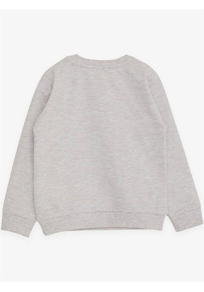 Breeze Erkek Çocuk Explorer Yazılı Dinazor Baskılı Sweatshirt-14677 Gri