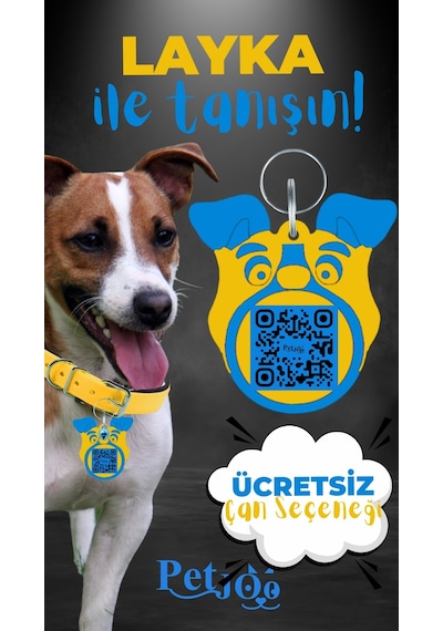 Petjoo 22.Layka Mavi-Sarı Qr'lı Köpek Künyesi