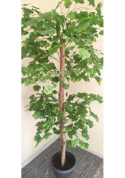 Rüzgar Çiçekcilik 180 Cm Sakura Ağacı Yeşil