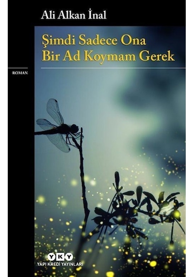 Şimdi Sadece Ona Bir Ad Koymam Gerek - Ali Alkan İnal - Yapı Kredi Yayınları