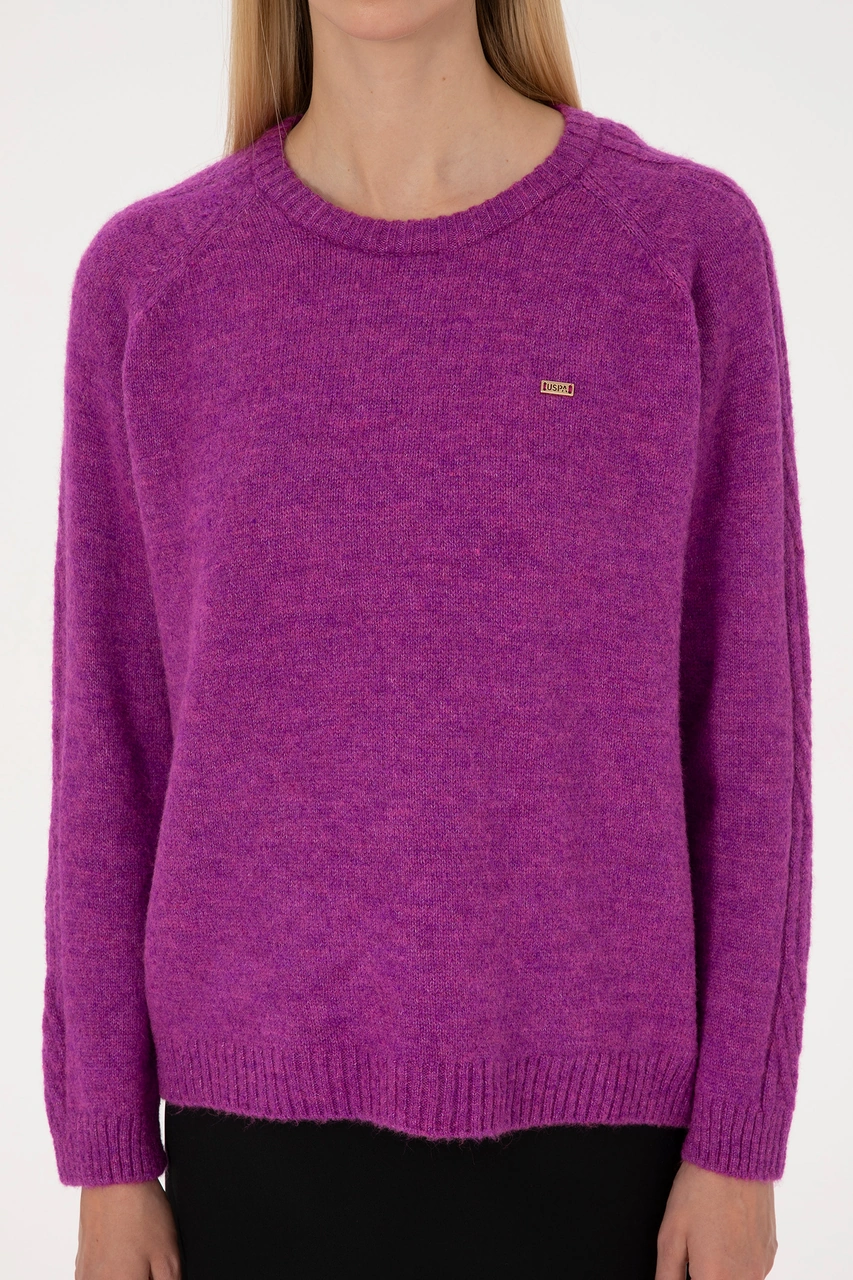 U.S. Polo Assn. Kadın Menekşe Bisiklet Yaka Kazak 50310106-VR037