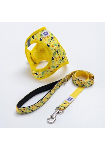 Tropical Breeze Göğüs Tasması Ve Sevk Kayışı Tasma Seti Papağan Desenli Kedi Köpek Göğüs Tasması Seti Sarı