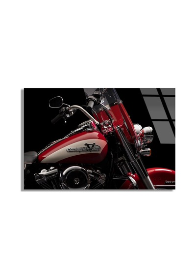 Harley Motosiklet Cam Tablo 50x35 Cm
