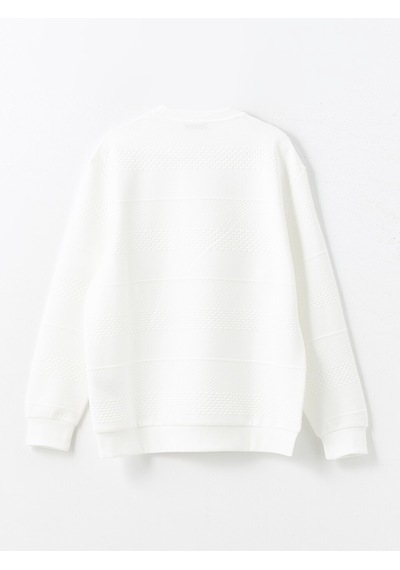 Lcw Vision Beyaz Bisiklet Yaka Uzun Kollu Erkek Sweatshirt